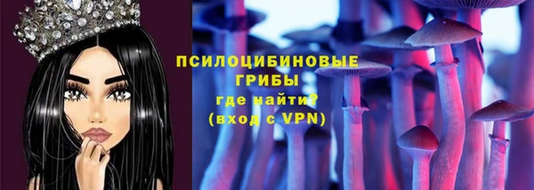 спиды Кукмор