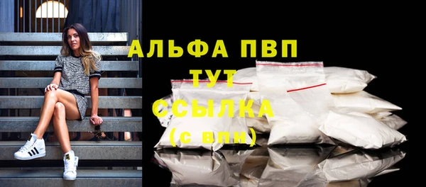 спиды Кукмор