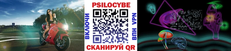 наркота  Новокубанск  Галлюциногенные грибы Psilocybine cubensis 
