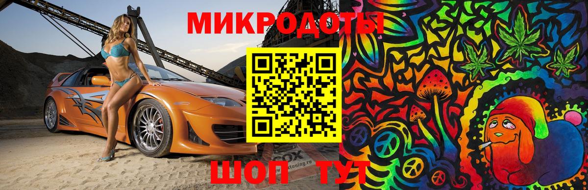 Псилоцибиновые грибы Psilocybine cubensis  Новокубанск 