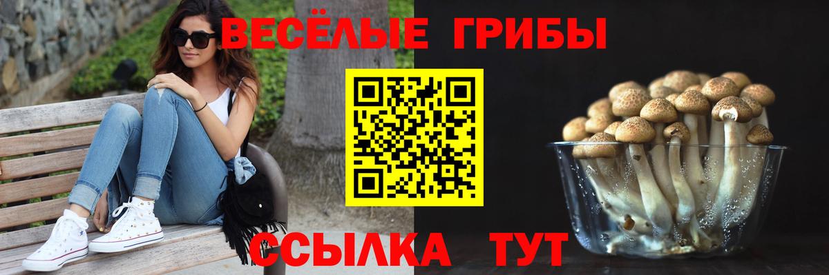 Галлюциногенные грибы ЛСД Новокубанск